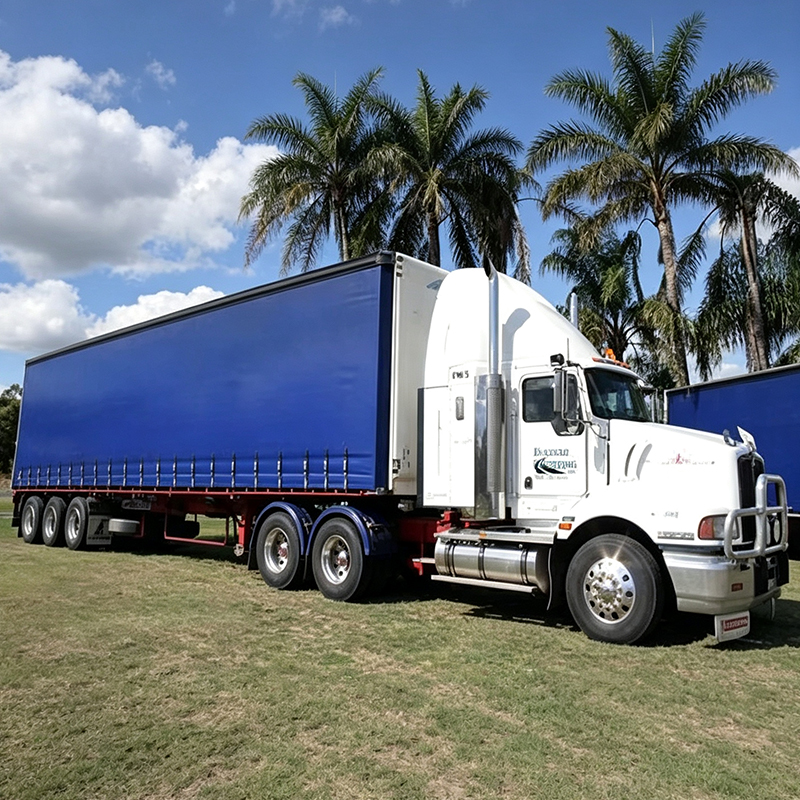 Tissu de rideau latéral de camion enduit de PVC de 900 g/m2