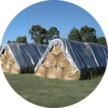 Membrane architecturale